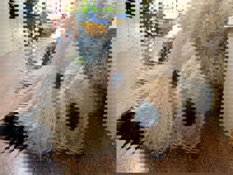 C1b59ab7 4Bc5 4Aef 9437 9A8b7000c4de